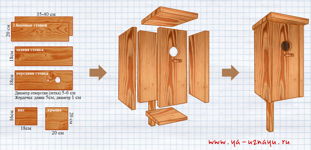 Как построить скворечник своими руками? - Детская онлайн энциклопедия .